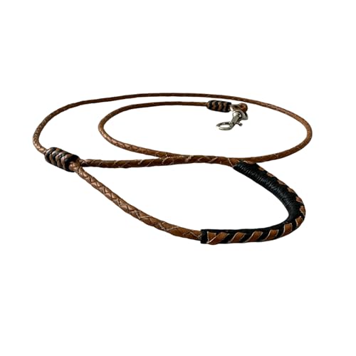 Close up braided leather dog lead with nylon core