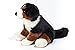 Teddy Hermann 92871 Hund Berner Sennenhund 29cm, Kuscheltier mit idealem Recyclinganteil (Füllmaterial)