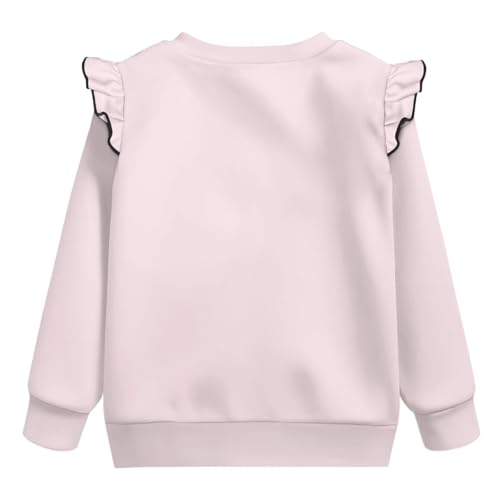 Toddler Sweatshirt Girls Crew Neck Hoodies Trendy Long Sleeve Hoodies Cute Tops for Kindergartener Age 1-8 Years3