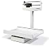 Rice Lake RL-MIS Mechanical Baby Scale 20 kg x 100 grams (131471) by Rice Lake