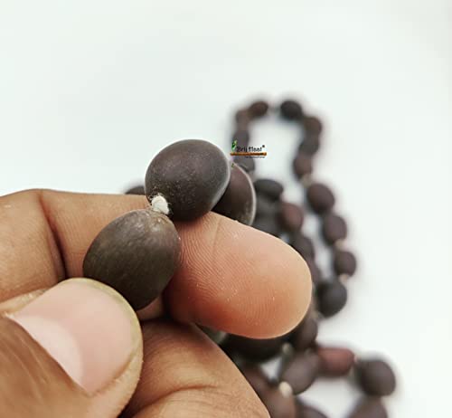 BRIJ HAAT original lotus seed rosary Kamal gatta jap mala 108+1 Beads with Cotton Gaumukhi Japa Bag