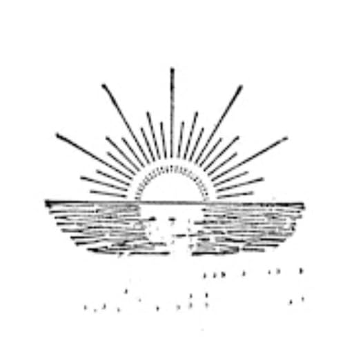 Couverture de The Broom Radio