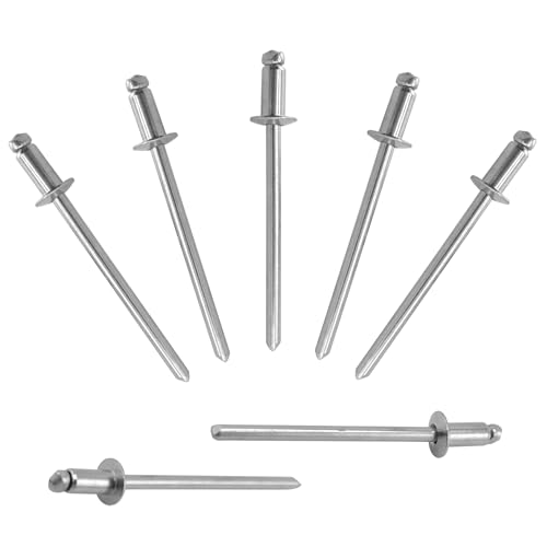 ALLCLEAN 300 Pcs 1/8"x1/4" Stainless Steel Blind Pro Rivets,3.2 x 6mm Pop Rivets,Stainless Steel Grip and Stainless Steel Mandrel