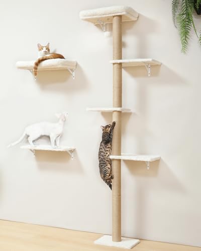 FUKUMARU Cat Wall Shelves, Stable Wall Mounted Cats...
