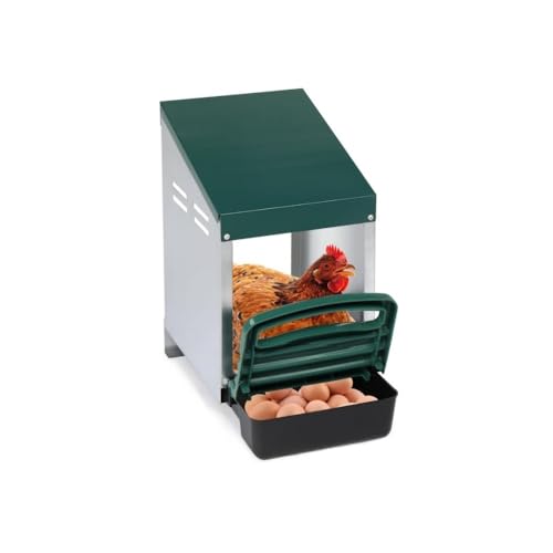 �{�̑����{�̗��Y���{�b�N�X���K�ȍL�X�Ƃ����|�����ȒP�Ȍ{�A�q���Ƌחp (1�̌�)