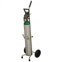 Algopix Similar Product 7 - SAFTCART Cylinder Trolley 38 in H 100