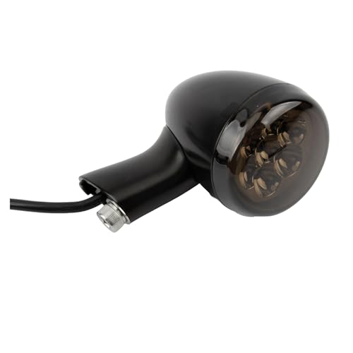 Clignotants moto arrière LED pour balades en Sportster 883 et Iron XL1200 de 2019 à 2022