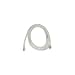 Produktbild MicroConnect CAT6 U/UTP 30 m  Netzwerkkabel (CAT6, U/UTP (UTP), RJ-45, RJ-45, Männlich/männlich, weiß)