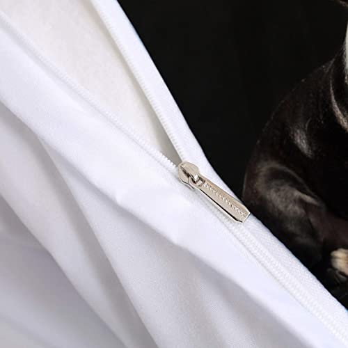 MOUAJ Set copripiumino singolo Boston Terrier