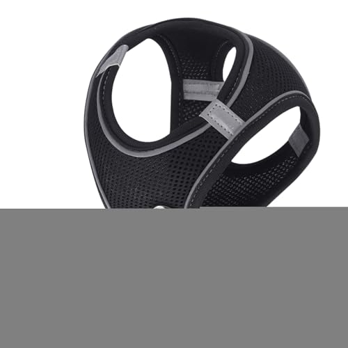 sp Lp n[lX, ˋ@\t \tgbVxXgn[lX[h ߉\, ^ ^ ^ ybg xXgJ[ oR Lv AEghAp