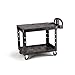 Rubbermaid Commercial Products 2-Shelf Utility/Service Cart, Medium, Flat Shelves, Ergonomic Handle, 500 lbs. Capacity, for Warehouse/Garage/Cleaning/Manufacturing (FG452500BLA)