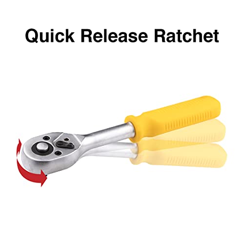 Decare Tool Set General Household Tool Kit Auto Repair Tools with Toolbox Storage Case - Perfect for Homeowner, Repairmen, Handyman (168 Piece)