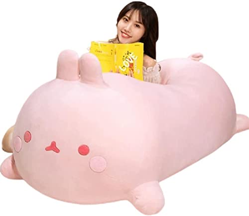  ʂ   ʂ 150cm ܂  Č    ܂ ʂ ӂ  K lC 傫   D D  -sN