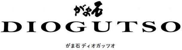 DIOGUTSO 磯竿 500 ロッドケース付き がまかつ がま石 ディオガッツオ
