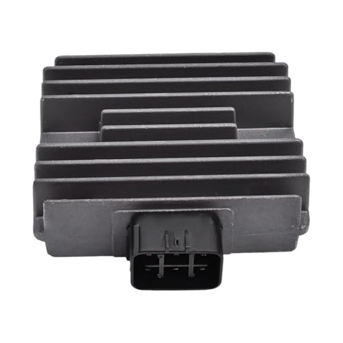 Spare parts I[goCdM[^ƌ݊ SX700 XVS1100 V XV1600A AS AT XV1700A XV1700AM AT 2004 XV 1600(2pcs)