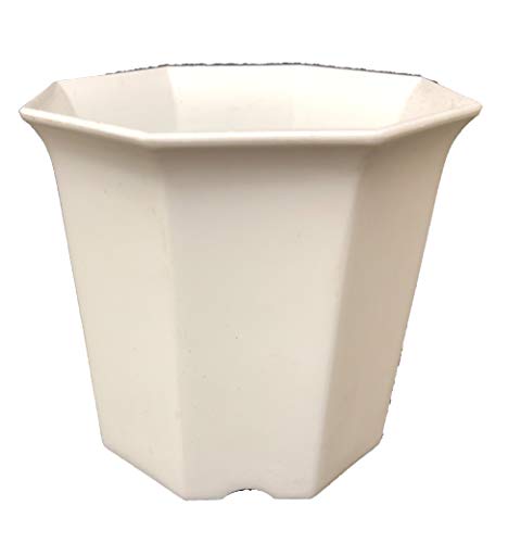 Vg  2.5 p^ 8p 10Zbg  T{e v