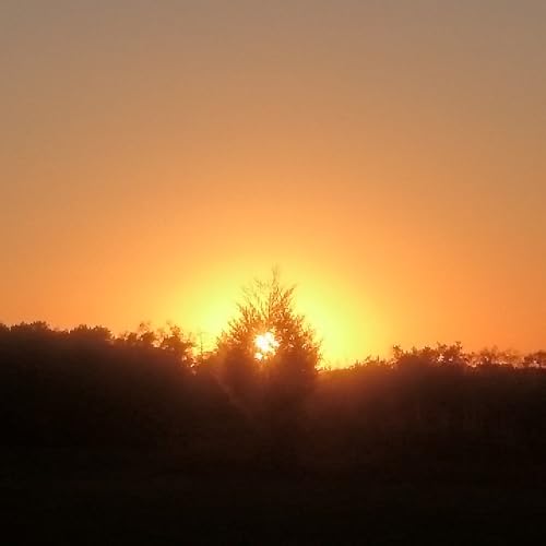 A Christmas Story - A King is Born