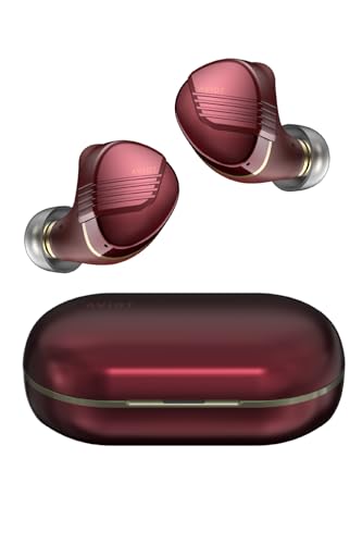 AVIO T TE-W1 ワイヤレスイヤホン　美品 AVIOT TE-W1｜コアキシャル3Dドライバー搭載・高音質完全
