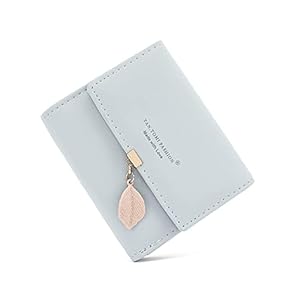 Caliyo Portemonnee voor dames, van glad en zacht kunstleer, groot en lang formaat, met veel vakjes en een vakje voor de mobiele telefoon, in zeer mooie kleuren, grijs