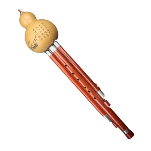 tVt[g T_EbhpCvW[ D W[ C W[ B tbgx[X Hulusi yvtFbViptH[}X(Red Major D)