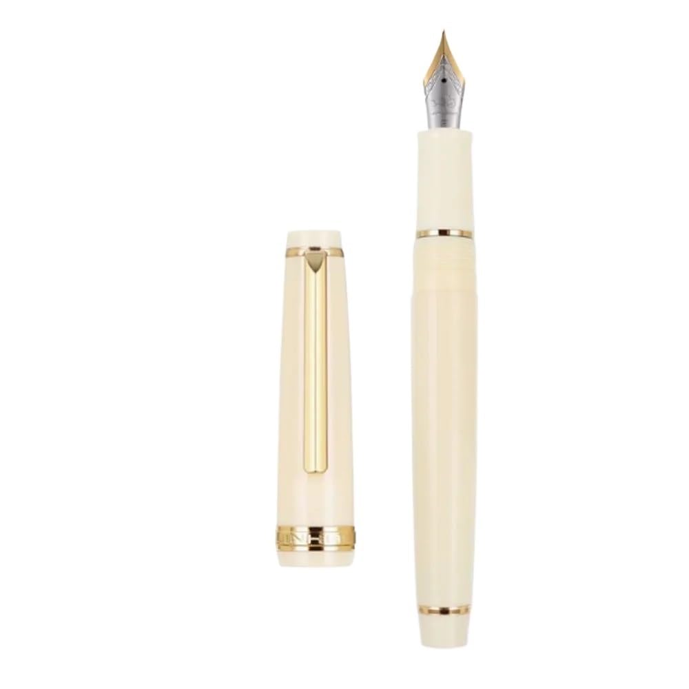 Stylo-plume pointe fine en résine pour vos notes de cours et réunions - 5