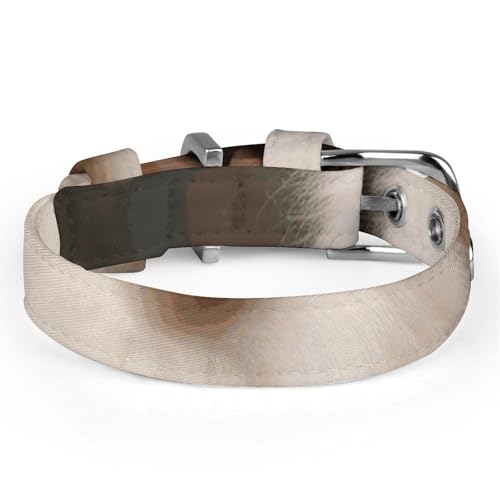 Collier réglable chien et chat petite taille ajustable - 5