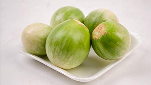 Thai Auberginen - 50 Frische Samen - Solanum virginianum Cover