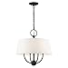 Livex Lighting 4 Light Black Pendant Chandelier, 18 x 18 x 18.75