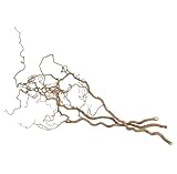 NaDeco
