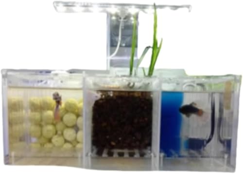 Conutoo ANfށA~jfXNgbvx^ZbgAEH[^[|vLEDCgAȏzԃ^NAaC̋̊ut (3Obh)