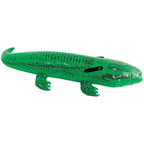 Amscan Party Needs, Multi Color