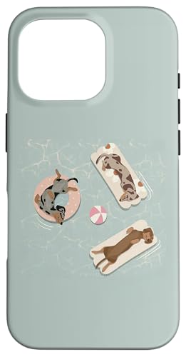 ���킢���_�b�N�X�t���h�E�C���i�[���\�[�Z�[�W�q���T�}�[�v�[���I�[�V�����B �X�}�z�P�[�X iPhone 16 Pro �p