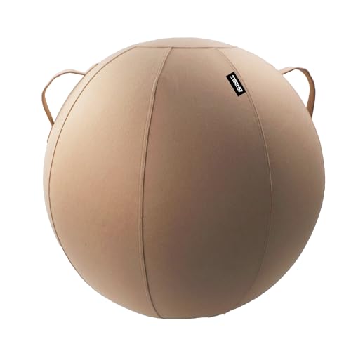 TECHO-Fit Protective Fabric Cover for 65cm Exercise Ball – Anti-Scratch, Foldable, Lightweight Ball Cover for Yoga, Fitness, Pregnancy, and Home Gym Use (Brown)
