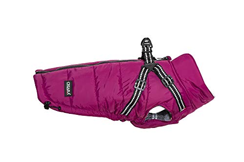 CHIARA Winterjacke mit Geschirr Modell MAX Größe S (Material: 100% Polyester, Hundewinterjacke mit integriertem Fleece-Futter, Step-in, anpassbare Länge, maschinenwaschbar), Farbe: Violett