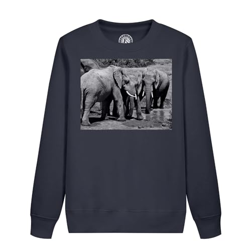 Sweatshirt enfant éléphant au point d'eau finitions premium et coton doux