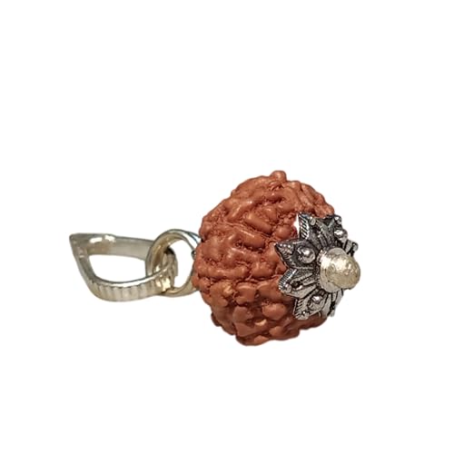 7 Mukhi Rudraksha Pendant (Locket) – Natural Seven Faced Rudhraksha Beads for Hindu Prayer, Meditation & Yoga | Spiritual Necklace Jewelry for Men & Women | Original Genuine Rudraksha Bead Pendant