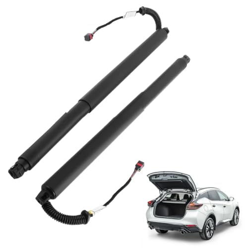 Vérin hayon arrière électrique 905615AA1A Nissan Murano 2015-2021