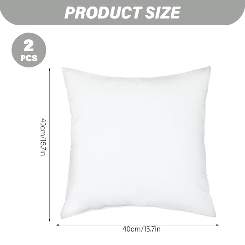 Lot de 2 coussins en polyester doux coton PP carré de luxe 16cm