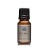 Patchouli Premium Grade Fragrance Oil - Perfume Oil - 10ml