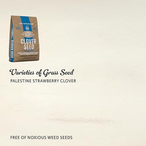 O.M. Scott and Sons Clover Seed, Lawn Seed Grows a Naturally Low Maintenance, Drought-Tolerant Lawn, 1,000 sq. ft., 2 lb.