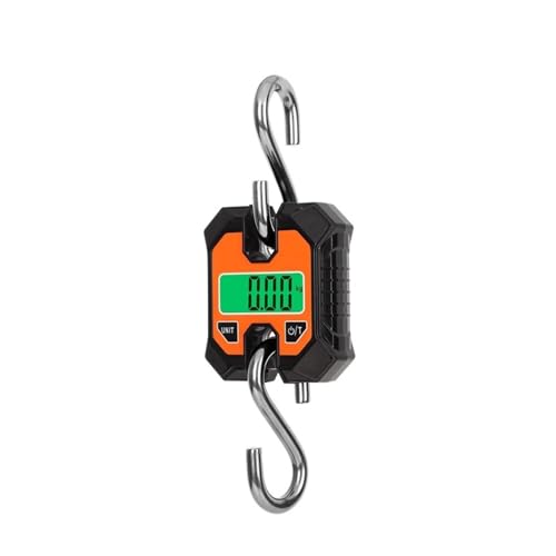 Balance à micro-grue industrielle robuste 250kg avec écran LCD C07