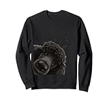 Funny Curious Dog Black Standard Poodle Sweatshirt