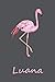 Produktbild Luana: Personalisiertes Flamingo Tage-/ Notizbuch | 120 Seiten | 6x9 Zoll Format (ca.DIN A5) | gepunket | dotted | punktkariert | dot grid | individuelle Geschenkidee