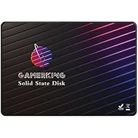 GamerKing SSD 2.5" SATA3 256GB Disco Duro Interno De Unidad de
