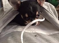 Review Image by JC JC