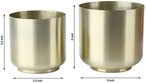 Vixdonos Brushed Gold Plated Plant Pots Indoor, 6/5.2 Inch Pack 2 Metal Planter Flower Pots With Drainage Hole (Champagne Gold) #TOP1