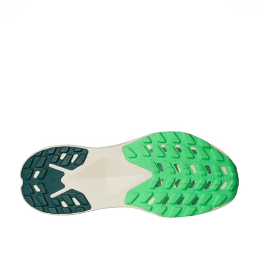 Image of THE NORTH FACE Men's Altamesa 300 Trail Running Shoe | Lightweight, High Rebound Midsole, Roomy Toe Box