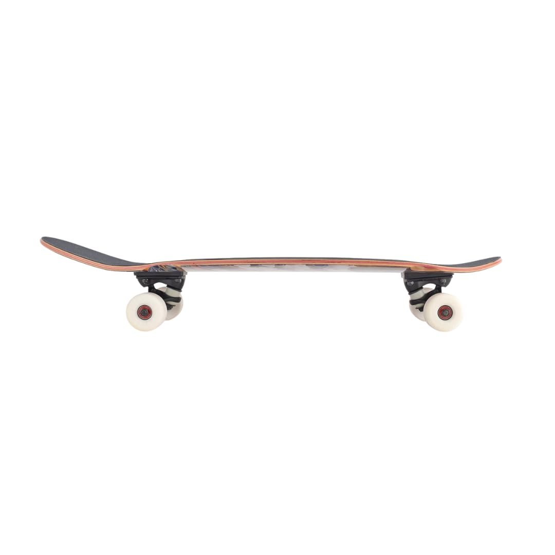Amazon.com : Landyachtz Tugboat Atmosphere 30