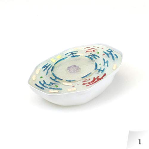 Image of Parco Scientific PB00160 Animal Mitosis 3D Model | 9 Stage Mitosis Demonstration | Biology Classroom Cell Division Display | Detailed Open Cell Organelles | Pieces Equipped with Stand | W Manual
