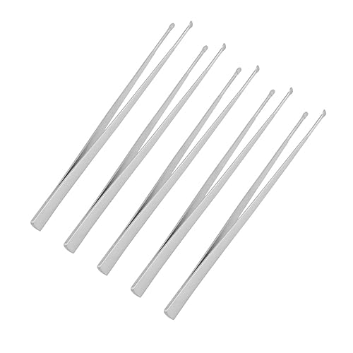 PLAFOPE 5個 耳かき 耳掃除ツール 耳あか掃除道具 耳掃除用耳掻き器 ツイーザー ツイザー 眉毛 耳綿棒 耳垢ツール イヤースプーン 耳垢ピック 耳掃除機 Silver